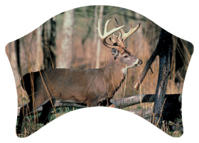 DABAN-302 White Tail Crusing